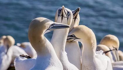 高能环境：本次交易所持伏泰科技转让对价为62,551,880.72元，交易完成后仍持有伏泰科技约222万股