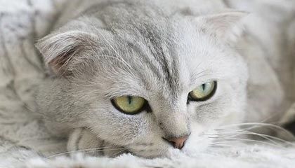 中国币圈交易所前20排名(被中国承认的中币交易所)