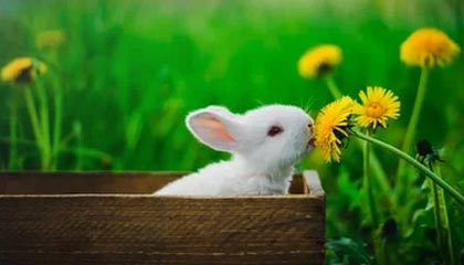 国内期货交易所排名什么样？