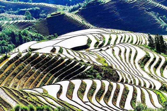 动画照进现实!这个假期,奔赴电影同款取景地