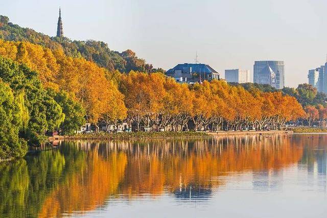 动画照进现实!这个假期,奔赴电影同款取景地