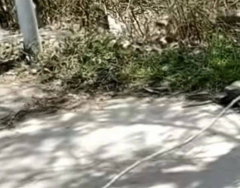 被绳子锁喉男孩赴京治疗后已脱离生命危险,当地调查:绳子系村民朱某雨(女,62岁)打玉米所拉,警方已对其采取刑事强制措施