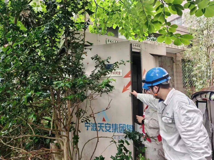 上海市中心突发！大风大雨，一棵10米高的老槐树，压在1万伏高压线上，旁边就是敬老院