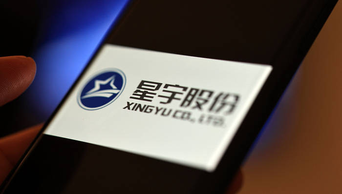 星宇股份赴港上市遇阻,“暴力裁员”遭反噬