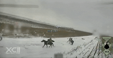 阵亡79人，歼敌50000！乌军某旅公布超高交换比，俄军几乎被单方面屠杀？